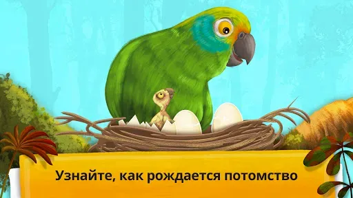 Скриншот 7 — Как устроен организм животных?