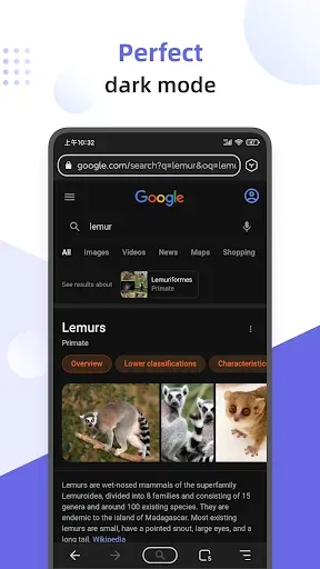 Скриншот 1 — Lemur Browser - Extensions