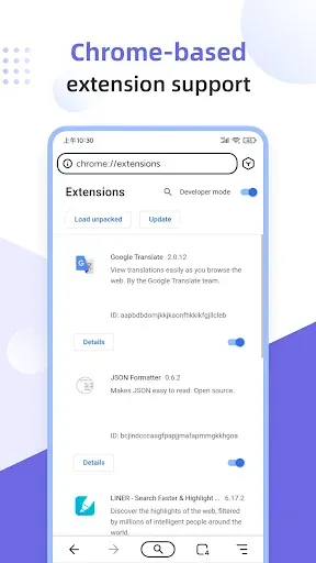 Скриншот 3 — Lemur Browser - Extensions