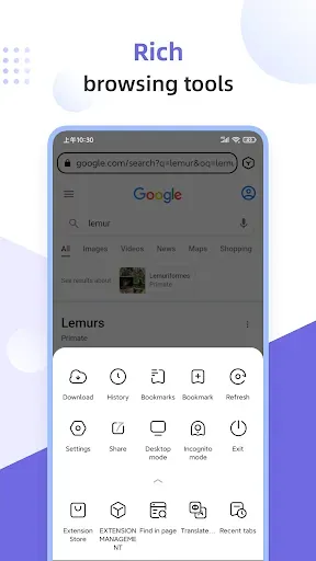 Скриншот 4 — Lemur Browser - Extensions