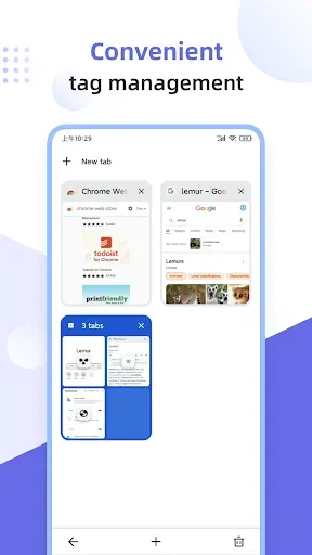 Скриншот 5 — Lemur Browser - Extensions