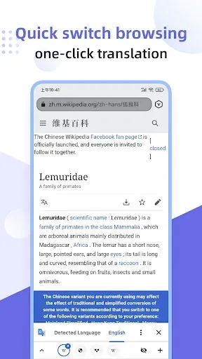Скриншот 6 — Lemur Browser - Extensions