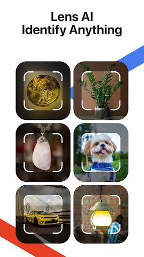 Скриншот 1 — Lens AI: Identify Anything