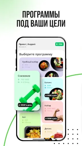 Скриншот 2 — Level Kitchen: ПП Доставка еды