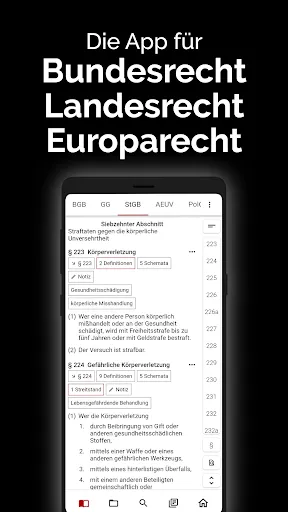 Скриншот 1 — gesetze.io - Jura digital