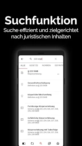 Скриншот 4 — gesetze.io - Jura digital
