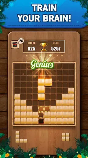 Скриншот 1 — Wooden 100 Block Puzzle Game