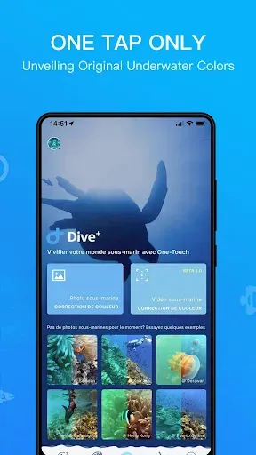 Скриншот 3 — Dive+: Дайвинг-сообщество