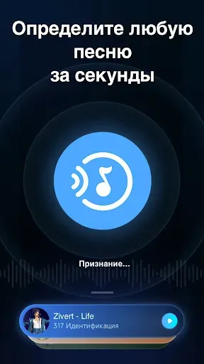 Скриншот 1 — Распознавание музыки