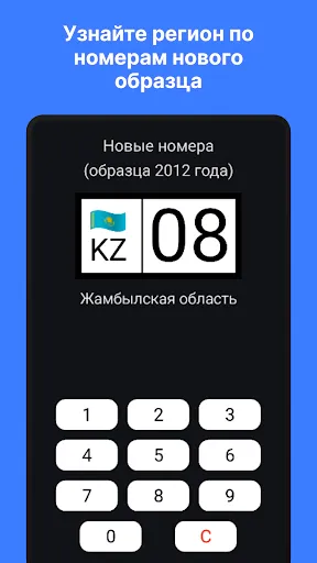 Скриншот 1 — Коды регионов Казахстана