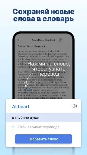 Скриншот 6 — Английский язык с Lingualeo