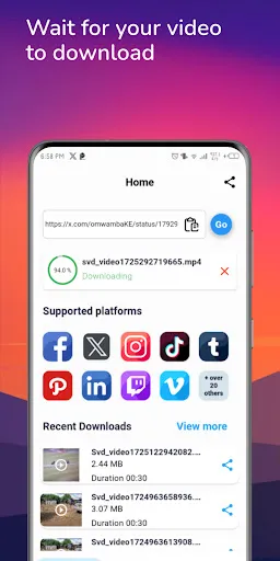 Скриншот 8 — Social Video Downloader