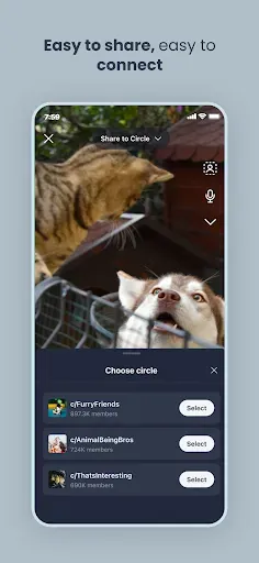 Скриншот 5 — Scoopz: Real Life, Real Videos