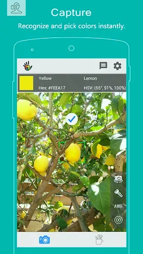 Скриншот 1 — Color Grab (color detection)