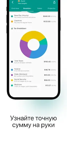 Скриншот 8 — Расчёт Зарплаты США - Pay44