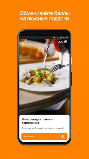 Скриншот 5 — ReCa