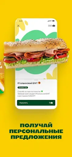 Скриншот 3 — SUBJOY