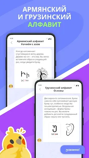 Скриншот 7 — Alfabird: грузинский армянский