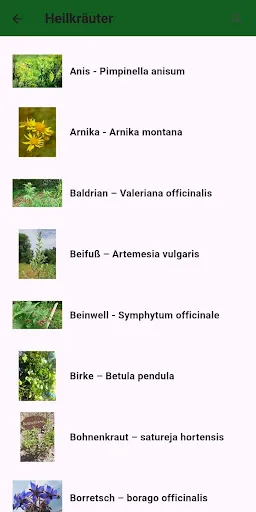 Скриншот 2 — Mom´s Botanicals