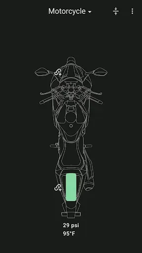 Скриншот 4 — TPMS Advanced