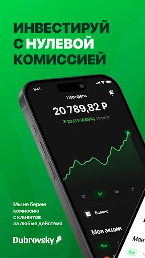 Скриншот 1 — Dubrovsky