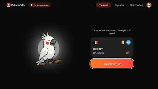 Скриншот 7 — Kakadu VPN: One Family