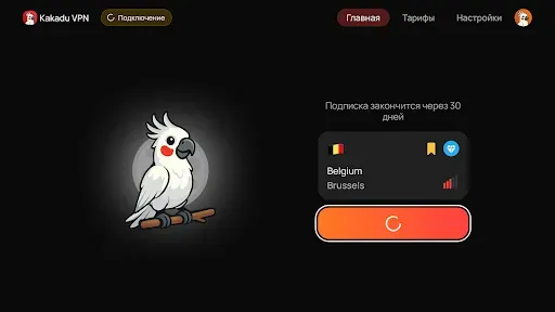 Скриншот 8 — Kakadu VPN: One Family