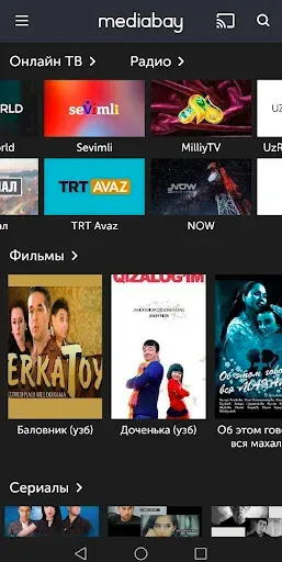 Скриншот 1 — Mediabay