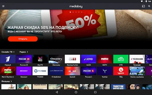 Скриншот 4 — Mediabay