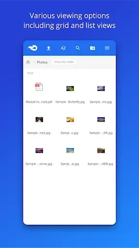 Скриншот 5 — MediaFire