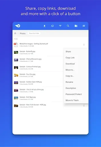 Скриншот 8 — MediaFire