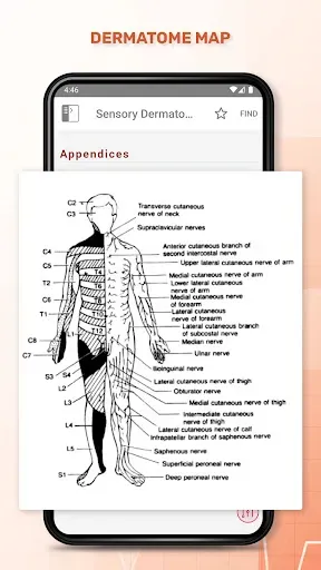 Скриншот 4 — 5 Minute Emergency Medicine