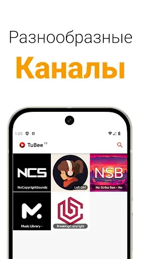 Скриншот 5 — TuBee: Всплывающий видеоплеер
