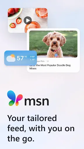 Скриншот 1 — MSN