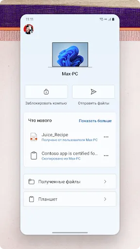 Скриншот 1 — Связь с Windows