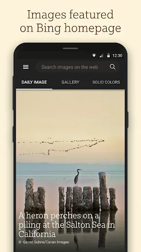 Скриншот 1 — Bing Wallpapers