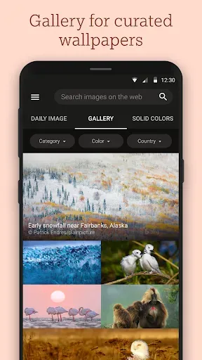 Скриншот 2 — Bing Wallpapers