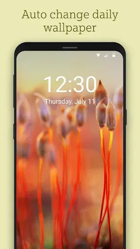 Скриншот 5 — Bing Wallpapers