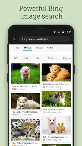 Скриншот 7 — Bing Wallpapers