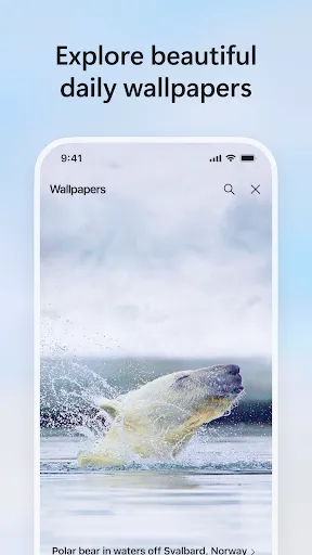 Скриншот 8 — Microsoft Bing Search