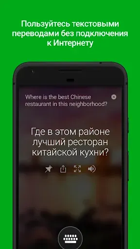 Скриншот 1 — Переводчик Microsoft