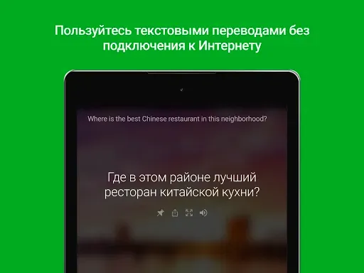 Скриншот 6 — Переводчик Microsoft