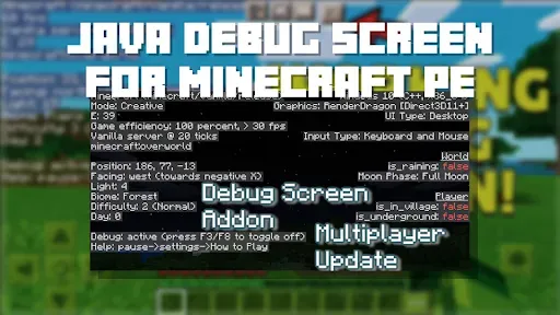 Скриншот 1 — Java Debug Screen Addon F3