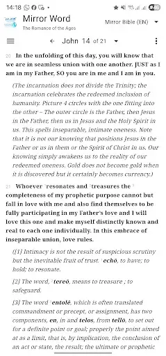Скриншот 1 — Mirror Study Bible