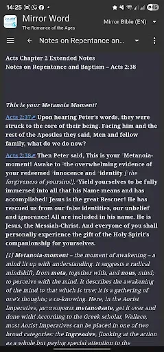 Скриншот 5 — Mirror Study Bible