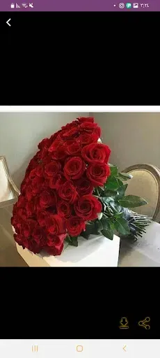 Скриншот 1 — flower photo _ flower bouquet