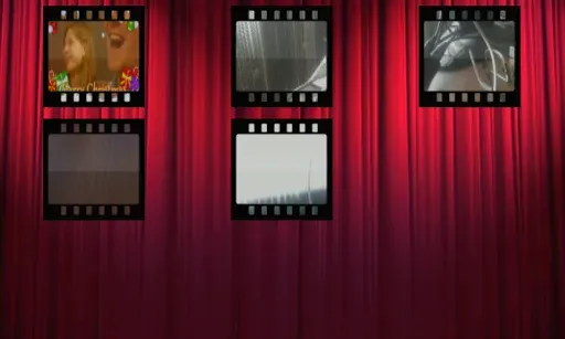 Скриншот 5 — Flip Video FX