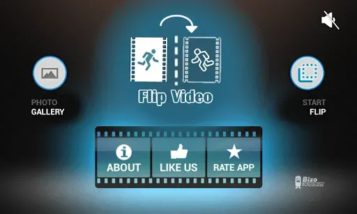 Скриншот 6 — Flip Video FX