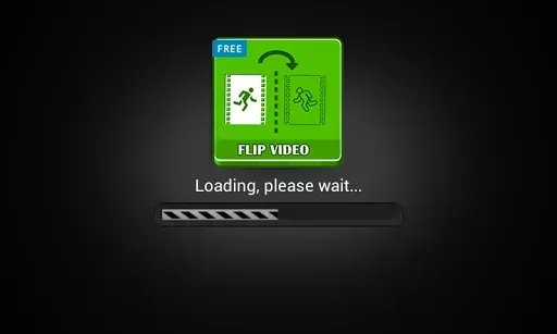 Скриншот 8 — Flip Video FX