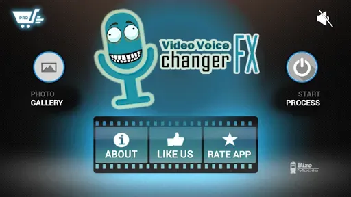 Скриншот 3 — Video Voice Changer FX